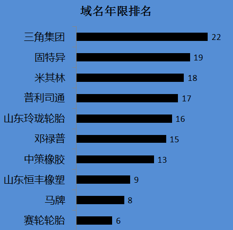 轮胎企业官网排行榜